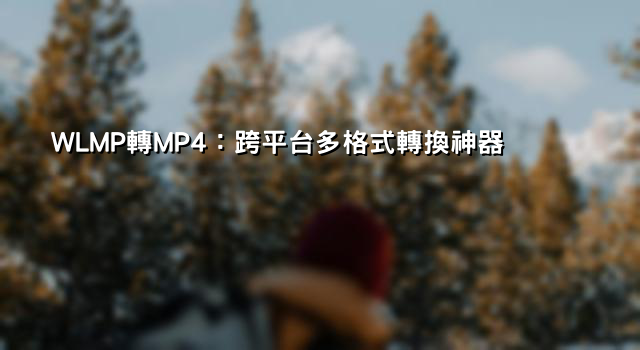 WLMP轉MP4：跨平台多格式轉換神器