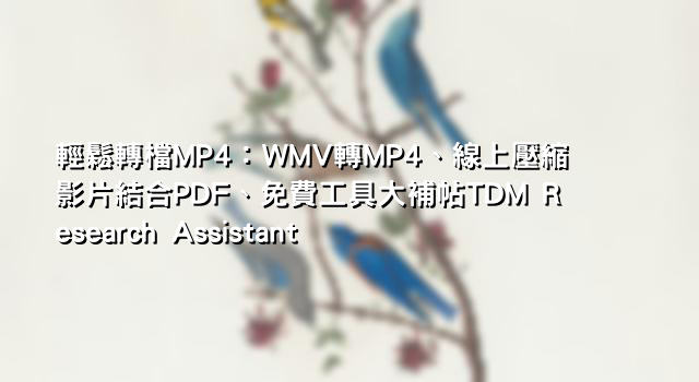 輕鬆轉檔MP4：WMV轉MP4、線上壓縮影片結合PDF、免費工具大補帖TDM Research Assistant