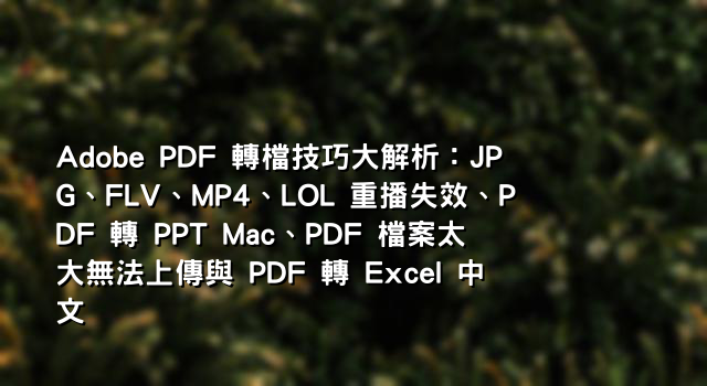 Adobe PDF 轉檔技巧大解析：JPG、FLV、MP4、LOL 重播失效、PDF 轉 PPT Mac、PDF 檔案太大無法上傳與 PDF 轉 Excel 中文
