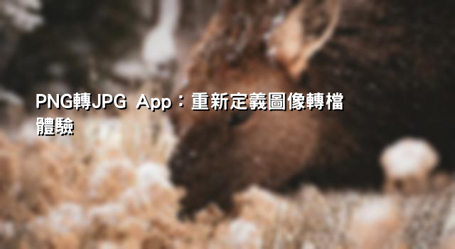 PNG轉JPG App：重新定義圖像轉檔體驗
