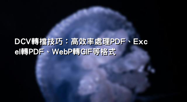 DCV轉檔技巧：高效率處理PDF、Excel轉PDF、WebP轉GIF等格式