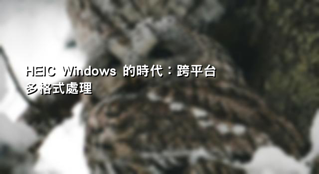 HEIC Windows 的時代：跨平台多格式處理