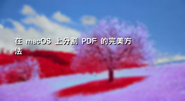 在 macOS 上分割 PDF 的完美方法