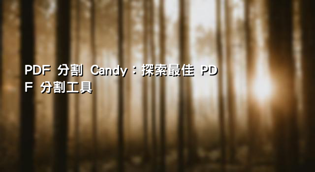 PDF 分割 Candy：探索最佳 PDF 分割工具